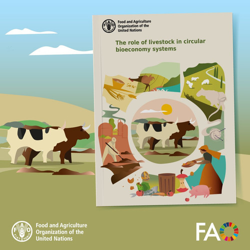 G NfOSwWQAA0RFh?format=jpg.jpg