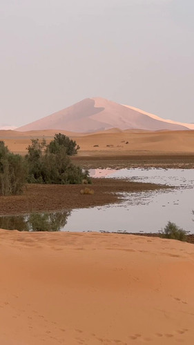 SVNN zsUV Rg2L9s.jpg