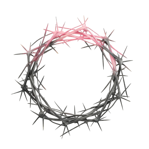 MEITU 20260109 223440525.png