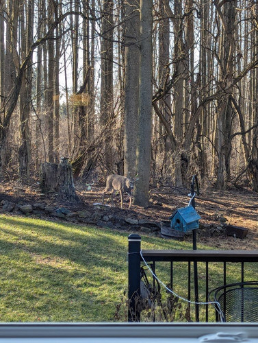 G Kgps5WUAEiDfZ?format=jpg.jpg