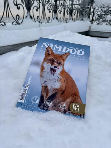 613486320 1417111059779124 7172178894988103099 n.jpg?stp=cp6 dst jpg p526x296 tt6& nc cat=102&ccb=1 .jpg