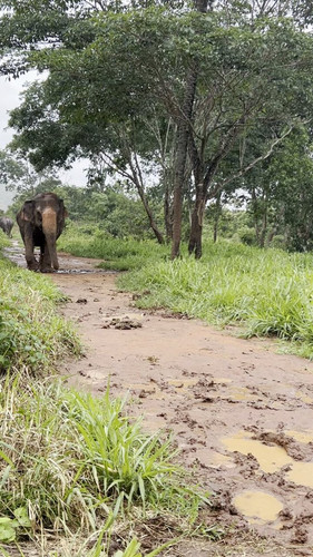 M lq8mP4 70Ql6vQ.jpg