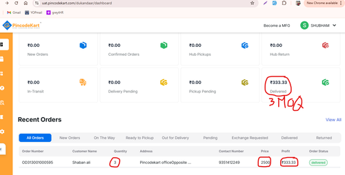 vd dash earning overview.png