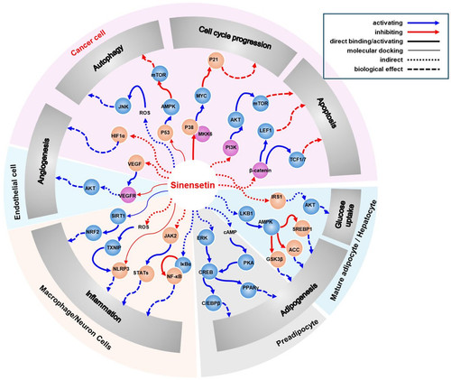 G JD9uhWQAA mx3?format=jpg.jpg