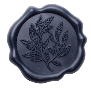 image 2026 01 10 161052656 removebg preview (3).png