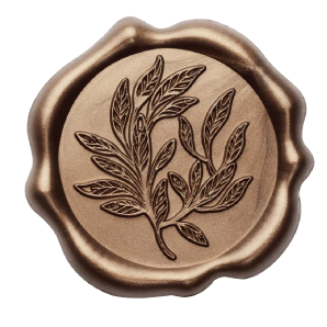 image 2026 01 10 161052656 removebg preview (2).png