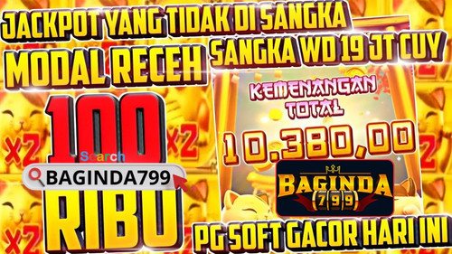 WhatsApp Image 2026 01 03 at 5.12.10 AM (3).jpg