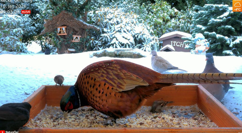 FE5EB989 AAAE 4169 B1D7 B9E0EB2D6275.jpg