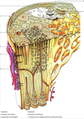 7c8c8b19617b.png