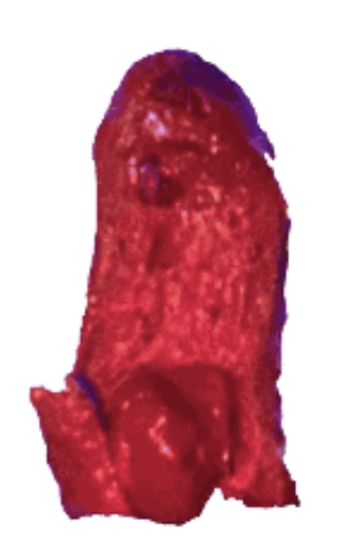 galaxygod.png