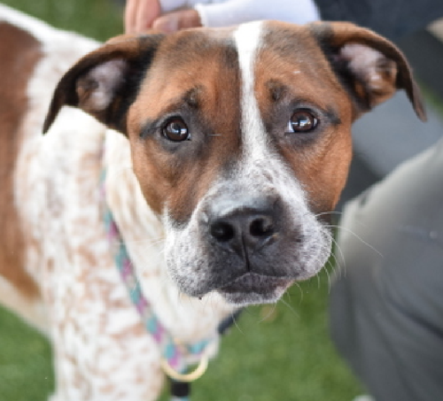 G9WY hkaEAAtpN8?format=png.png