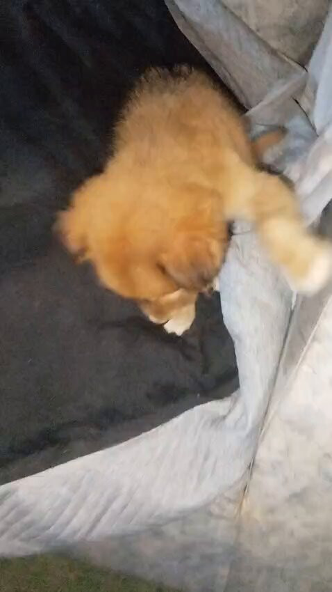 FCUPOdDd 0XlEG0J.jpg