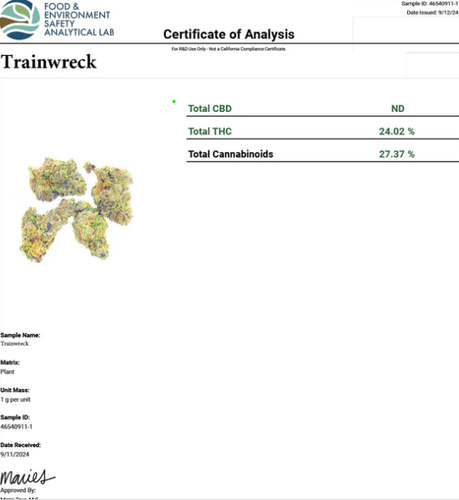 Trainwreck.png