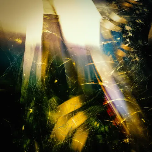 I Can Never Forgive You.webp