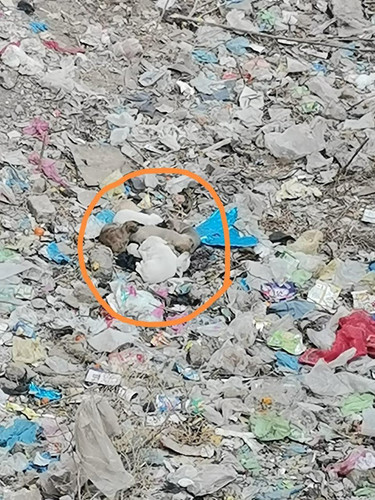 G Ju3spWMAABxHb?format=jpg.jpg