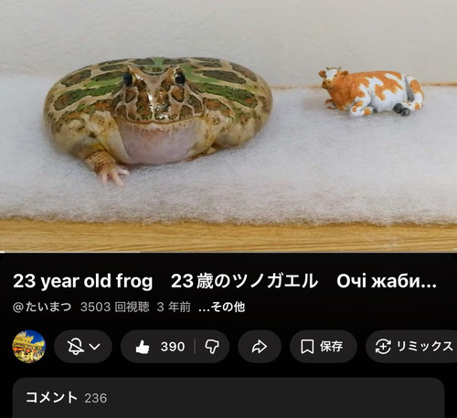 G ISxEda0AAfe6F?format=jpg.jpg