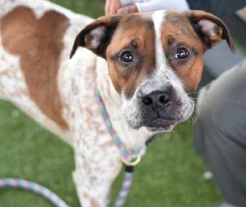 G84tW0SWAAA3 KF?format=jpg.jpg