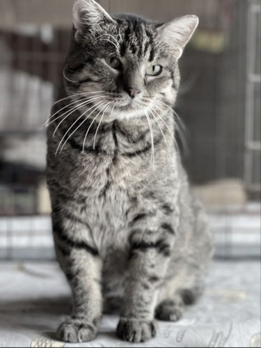 G NURq1W0AAvY m?format=jpg.jpg