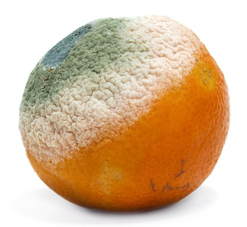 G P0mvBWcAAXD P.jpg