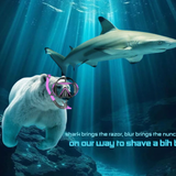 on our way to shave a bih bald.png