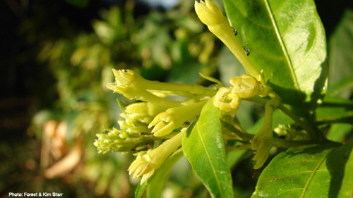 G INyw0XsAAH5mB?format=jpg.jpg