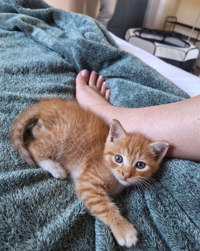 G LYetsWAAAaB B?format=jpg.jpg