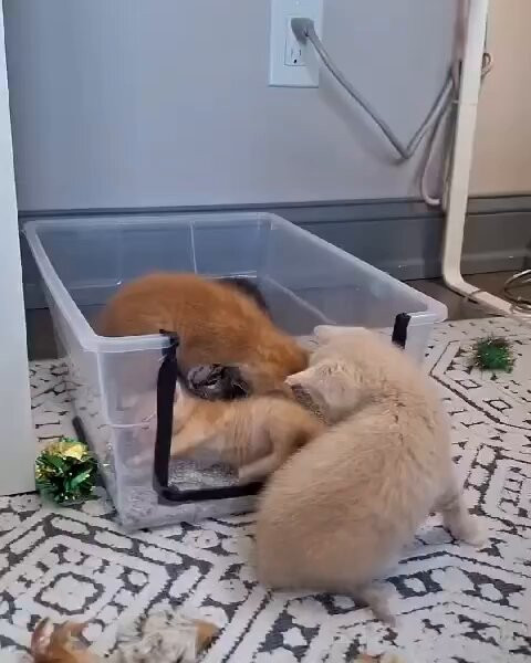 6b6uXzx7 opOnLQ7.jpg