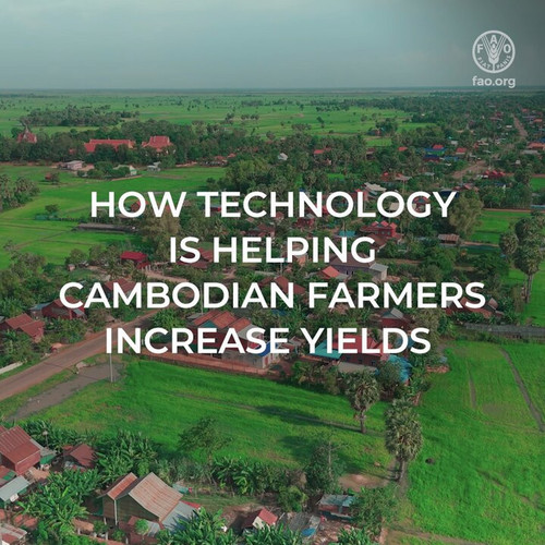 Bu5dKSiGWMYo cOu.jpg