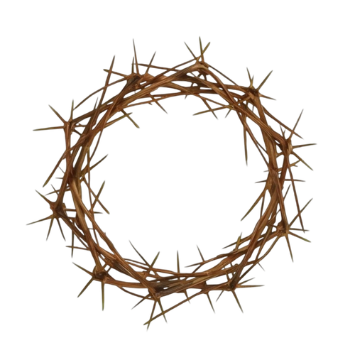 MEITU 20260109 223740690.png