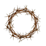 MEITU 20260109 223740690