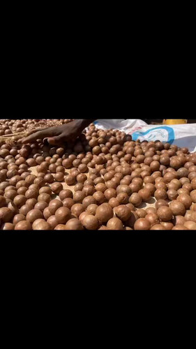 4ZlEmk70zrx Jy0J.jpg