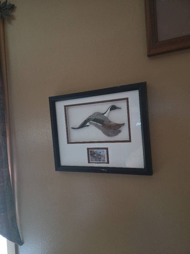 f736f2c64214.jpg
