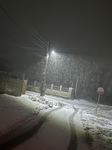 IMG 5758.jpg