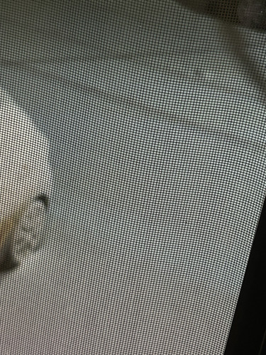 IMG 5765.jpg