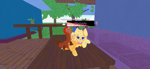 imagen.png