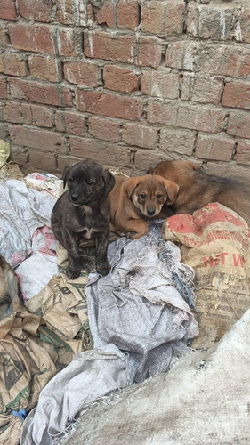 G OITfoWAAAnD70?format=jpg.jpg