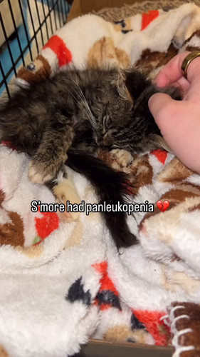 kiB2Xbg50XEC 0m .jpg