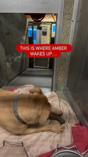 JPk0p wEhF73GP0S.jpg