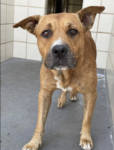 G OulT7XsAAU2o3?format=jpg.jpg