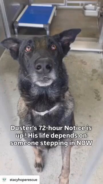 Oy3KuAyl noPV4ba.jpg