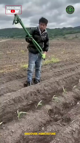 WvM0M86BzZ R8W9 .jpg