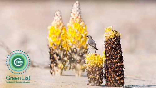 G NOJHIW8AAg8Ur?format=jpg.jpg