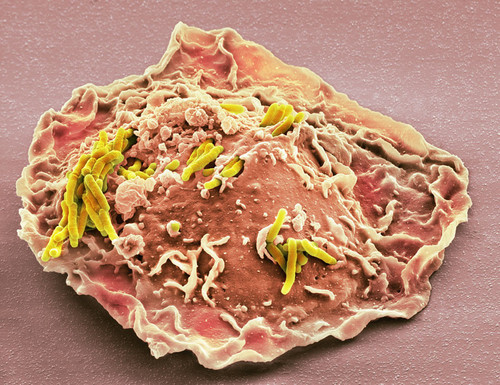 G Pr8ywXQAEy6f7?format=jpg.jpg