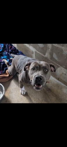 G MHqQQXAAACkkn?format=jpg.jpg