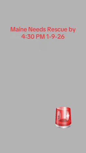 jAOczPuPL4 15k5C.jpg