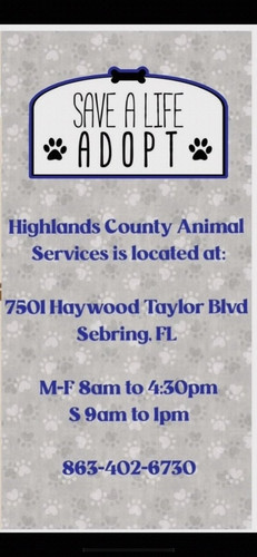 G MHqQNWwAEVIxR?format=jpg.jpg