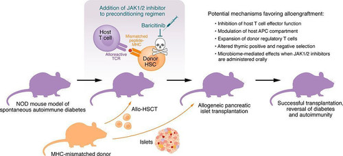 G Oc 9LXMAAGTW8?format=jpg.jpg
