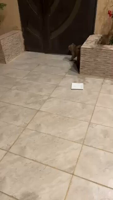 62D GUwQdWre8ovD.jpg