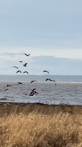 3Gfd359pKVoLr x1.jpg