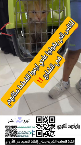 wv7gu8J8ty Opn3n.jpg